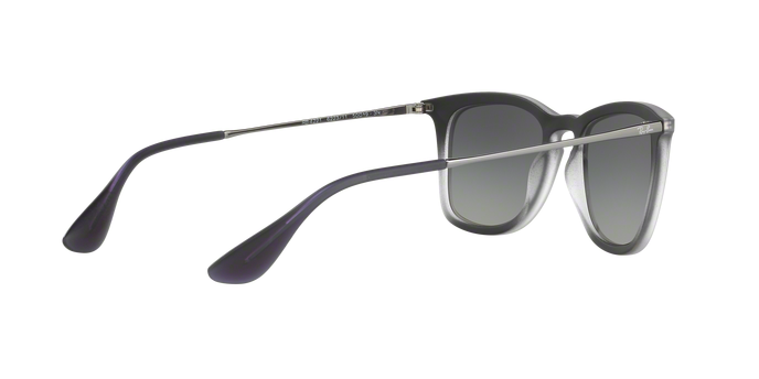 Rayban 4221 622311 360 visione