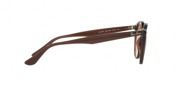 Rayban 2180 62313D 360 visione