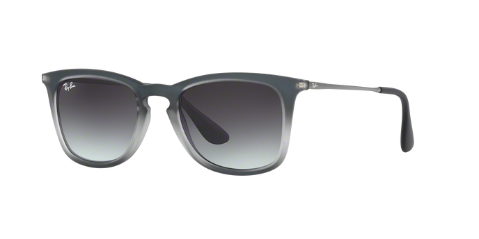 Rayban 4221 62268G 360 visione