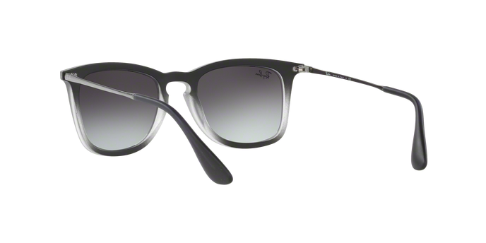 Rayban 4221 62268G 360 visione