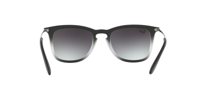 Rayban 4221 62268G 360 visione