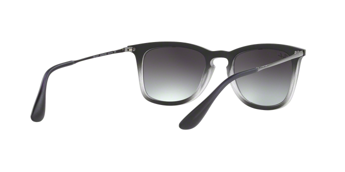 Rayban 4221 62268G 360 visione