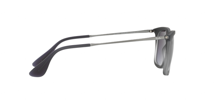 Rayban 4221 62268G 360 visione