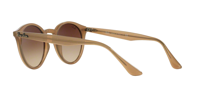 Rayban 2180 616613 360 visione