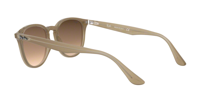Rayban 4259 616613 360 visione