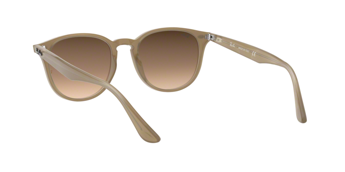 Rayban 4259 616613 360 visione