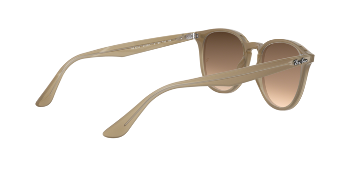 Rayban 4259 616613 360 visione