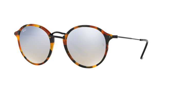 Rayban 2447 11579U 360 visione