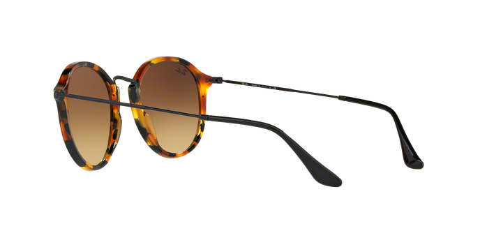 Rayban 2447 11579U 360 visione