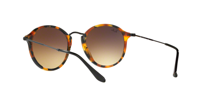 Rayban 2447 11579U 360 visione