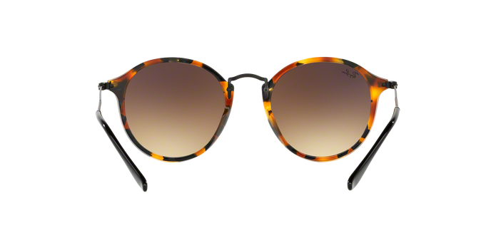 Rayban 2447 11579U 360 visione
