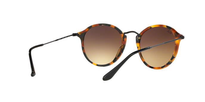 Rayban 2447 11579U 360 visione