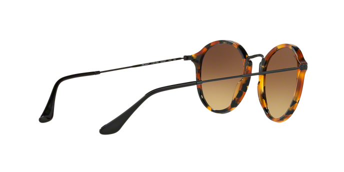 Rayban 2447 11579U 360 visione