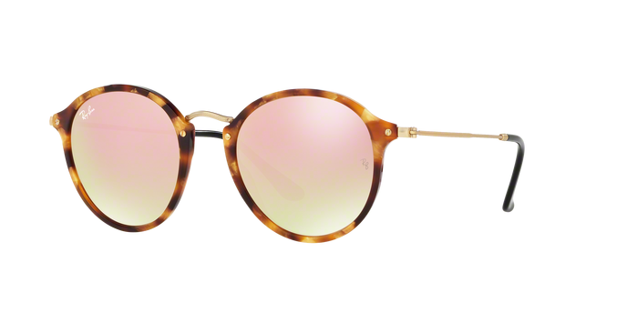 Rayban 2447 11607O 360 visione