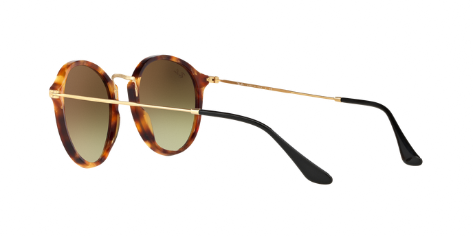 Rayban 2447 11607O 360 visione