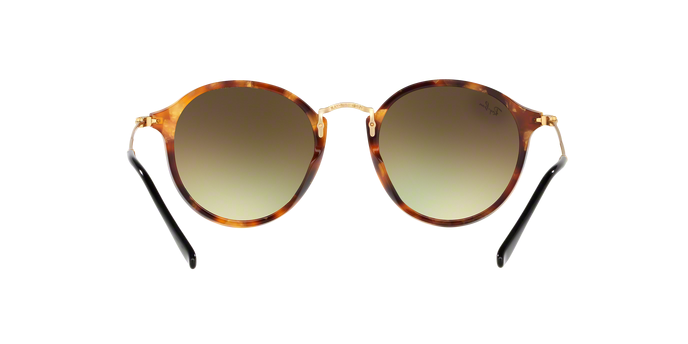 Rayban 2447 11607O 360 visione