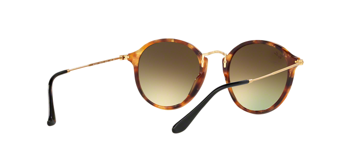 Rayban 2447 11607O 360 visione