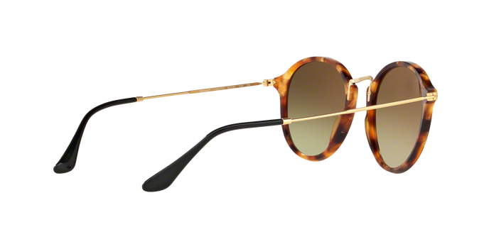 Rayban 2447 11607O 360 visione