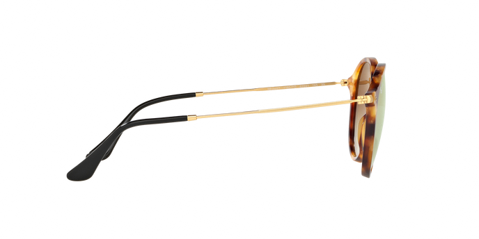 Rayban 2447 11607O 360 visione