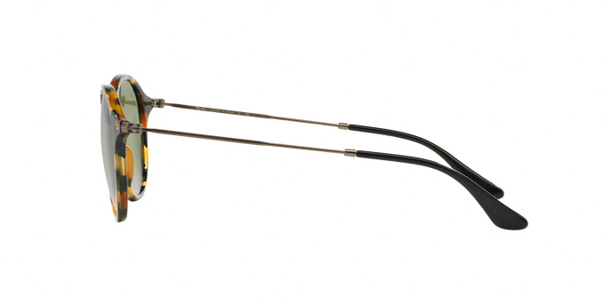 Rayban 2447 11594E 360 visione
