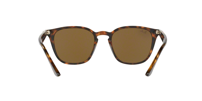 Rayban 4258 710/73 360 visione