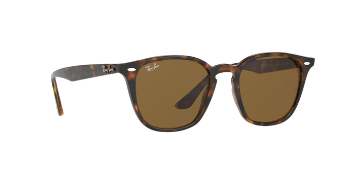 Rayban 4258 710/73 360 visione
