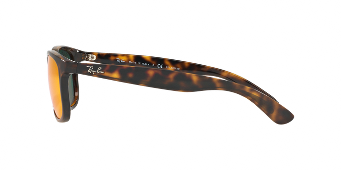 Rayban ANDY 4202 710/6S 360 visione