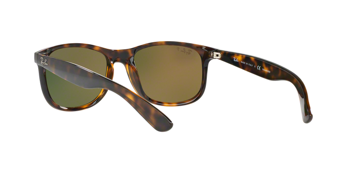 Rayban ANDY 4202 710/6S 360 visione