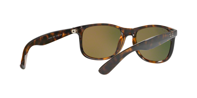 Rayban ANDY 4202 710/6S 360 visione