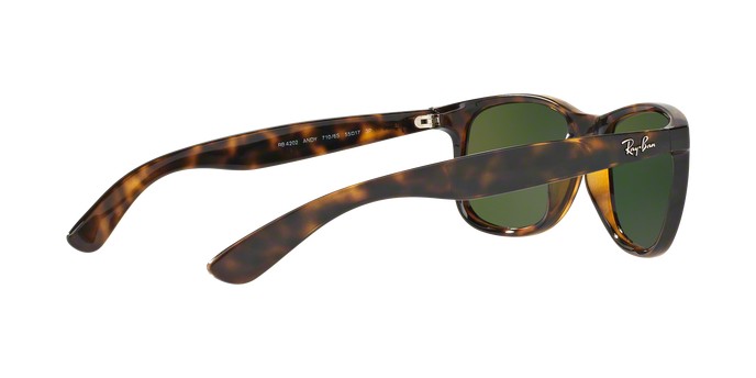 Rayban ANDY 4202 710/6S 360 visione