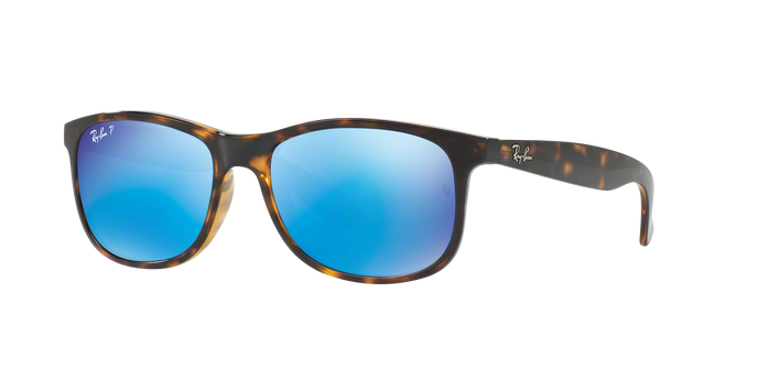 Rayban ANDY 4202 710/9R Pol 360 visione