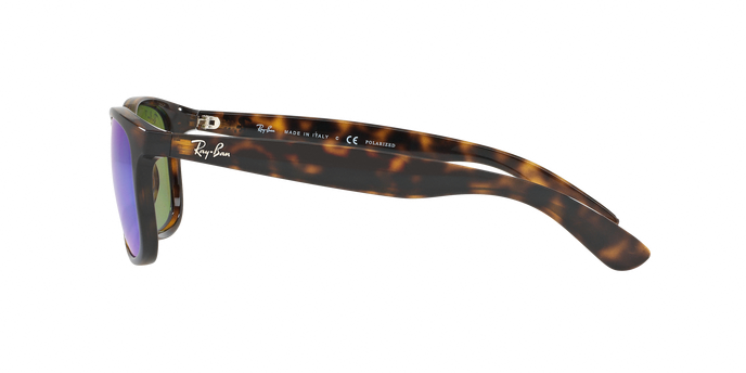 Rayban ANDY 4202 710/9R Pol 360 visione