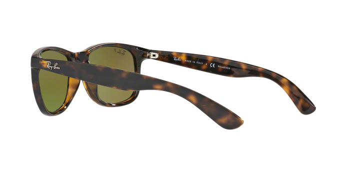 Rayban ANDY 4202 710/9R Pol 360 visione