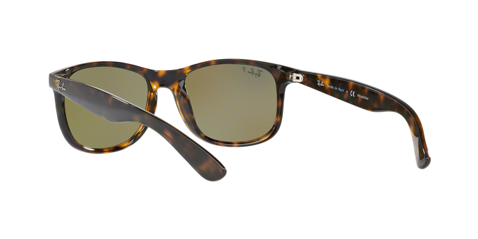 Rayban ANDY 4202 710/9R Pol 360 visione