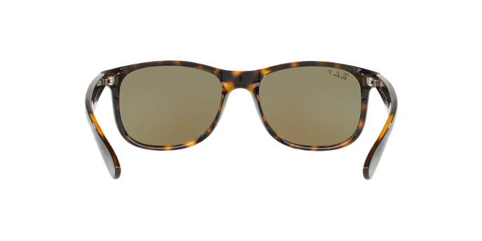 Rayban ANDY 4202 710/9R Pol 360 visione