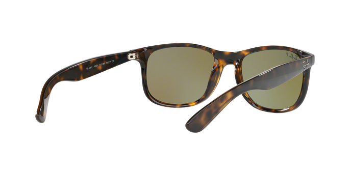 Rayban ANDY 4202 710/9R Pol 360 visione
