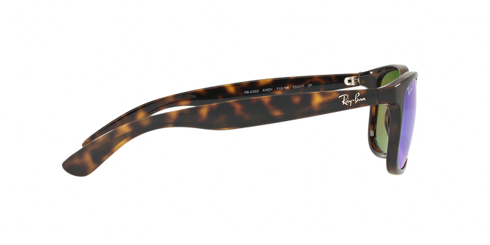 Rayban ANDY 4202 710/9R Pol 360 visione