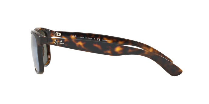 Rayban ANDY 4202 710/Y4 360 visione