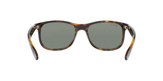 Rayban ANDY 4202 710/Y4 360 visione