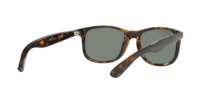 Rayban ANDY 4202 710/Y4 360 visione