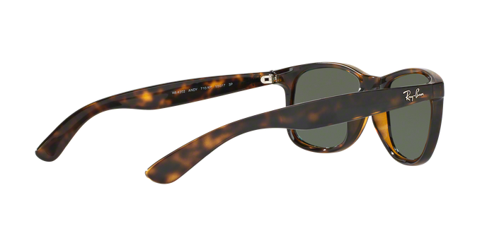 Rayban ANDY 4202 710/Y4 360 visione