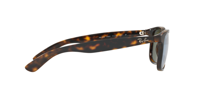 Rayban ANDY 4202 710/Y4 360 visione