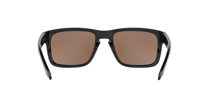 Oakley Holbrook 9102 C1 Prizm D 360 visione
