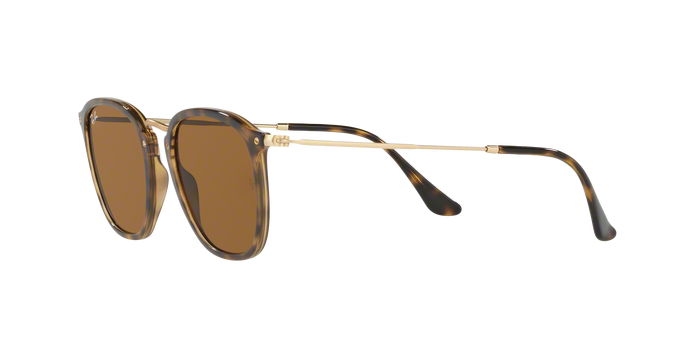 Rayban 2448N 710 360 visione