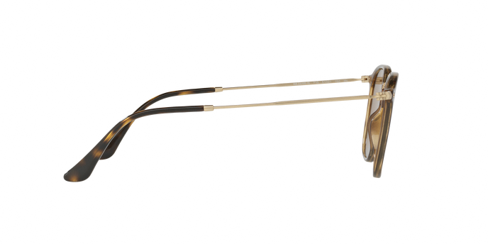 Rayban 2448N 710 360 visione