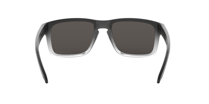 Oakley Holbrook 9102 A9 360 visione