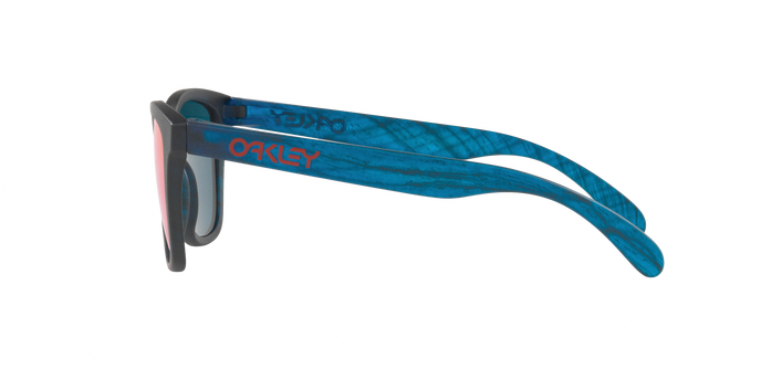 Oakley Frogskins 9013 B5 360 visione