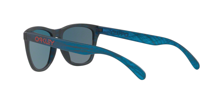 Oakley Frogskins 9013 B5 360 visione