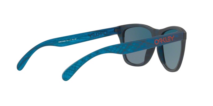Oakley Frogskins 9013 B5 360 visione