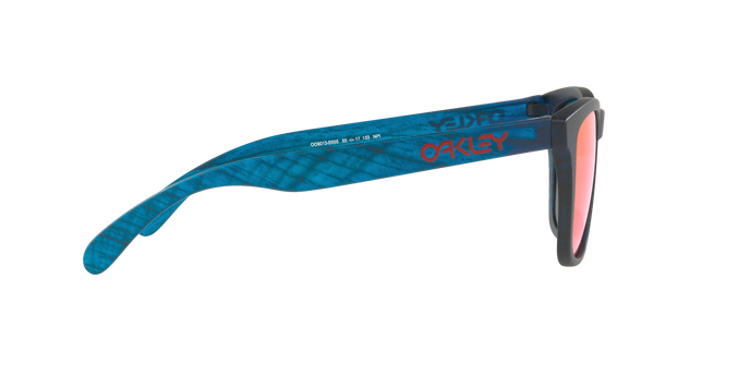 Oakley Frogskins 9013 B5 360 visione
